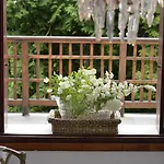 Bed and breakfast Fiocco 4*