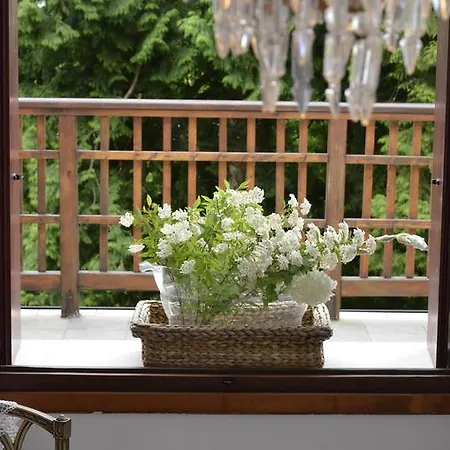 Bed & Breakfast Fiocco 3*